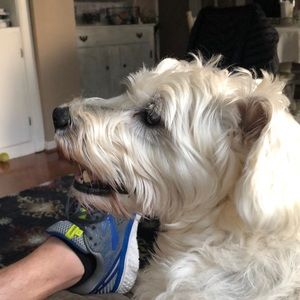 Meet your Posher, Holley